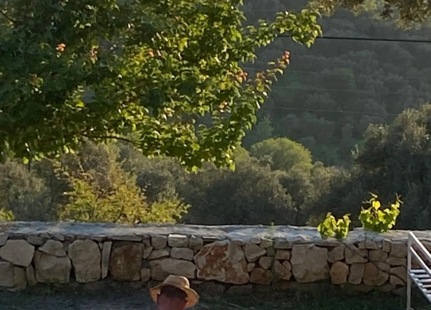 Kruje Camping Kamp alanı